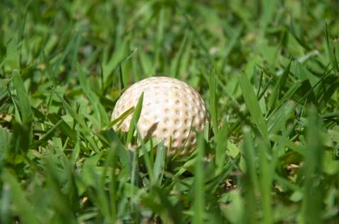 Golf ball in the grass Stock Photos