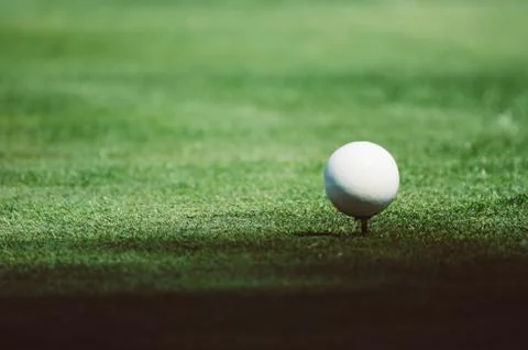 Golf ball on grass Photos