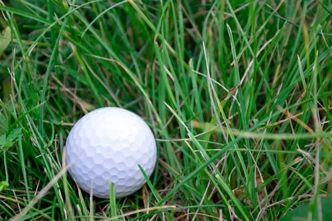 A golf ball in the grass Stock Photos