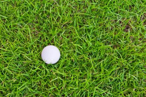 Golf ball on green grass Stock Photos