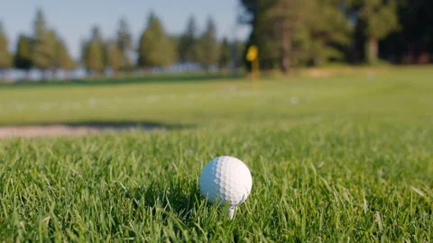 Golf ball on green grass ready to be struck at golf club Stock Footage 295002436