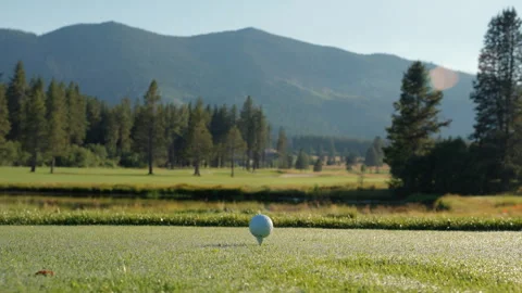 Golf ball on green grass ready to be struck at golf club Stock Footage 295002455