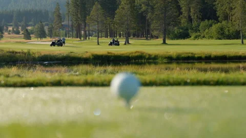 Golf ball on green grass ready to be struck at golf club Stock Footage 295002562