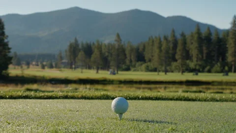 Golf ball on green grass ready to be struck at golf club Stock Footage 295002609