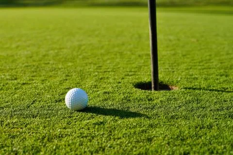Golf ball on the green. Stock Photos