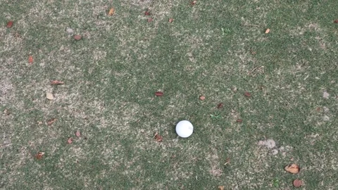Golf ball in the ground Stock Footage 170807141