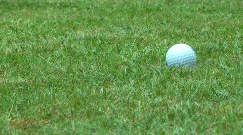 Golf ball landing on grass Stock Footage