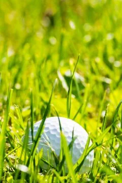 Golf ball lost in grass Foto stock