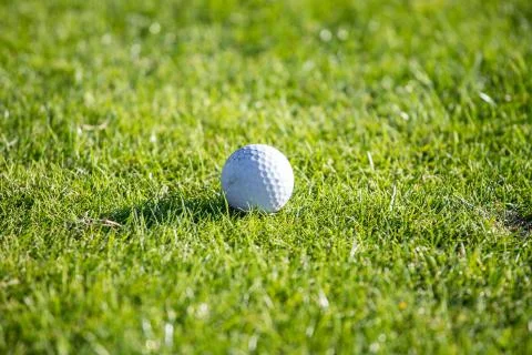 Golf ball lying on a golf course in the grass on a sunny day Golf concept. Pl Stock Photos
