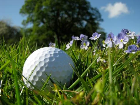 Golf ball Fotos de archivo
