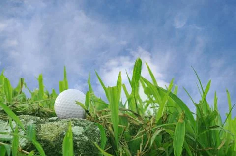Golf Ball Stock Photos