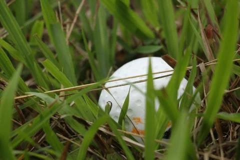 Golf ball Stock Photos