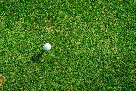 Golf Ball Positioned on a Tee, All Set for a Shot in a Beautiful Lush Green Foto stock