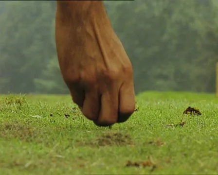 GOLF ball put on tee and hit Video stock 12755773