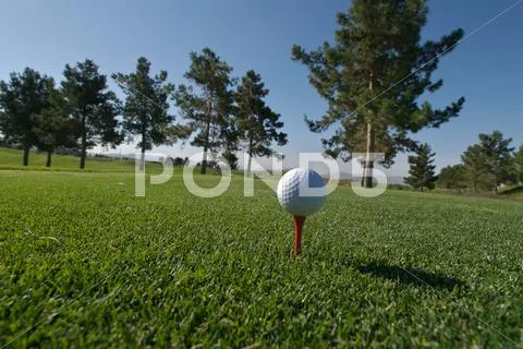 Golf ball on red tee with scenic background Stock Photos