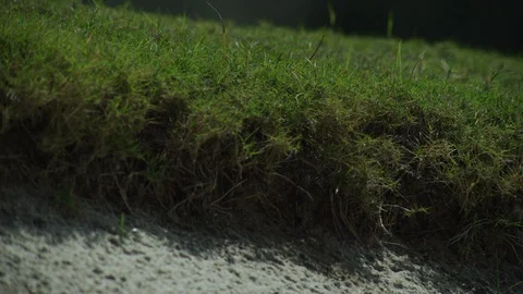 Golf Ball Rolling into a Bunker Stock Footage 108454633