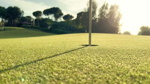 Golf ball rolling into hole on green grass of golf course Stock Footage 196893865