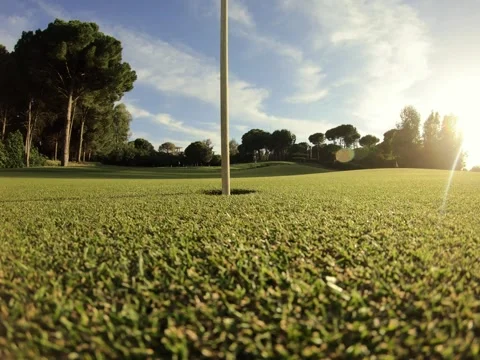 Golf ball rolling into hole on green grass of golf course Stock Footage 197393919
