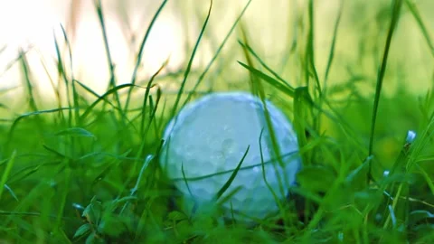 Golf Ball in the Rough Grass on Golf Course in a Sunny Day Stockbeeldmateriaal 201061171