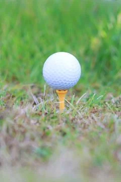 Golf ball on rough Stock Photos