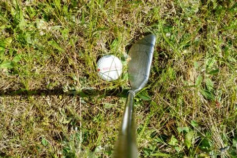 Golf Ball in the Rough Stock Photos