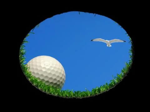 Golf ball with seagull Stock Photos