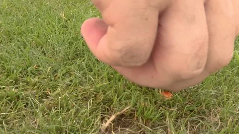 GOLF BALL SLOW MOTION CLOSE UP Stock Footage 156585571