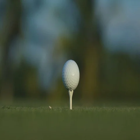 Golf ball standing on a tee before impact Stock Footage 69329656