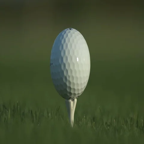 Golf ball standing on a tee before impact Stock Footage 69329694