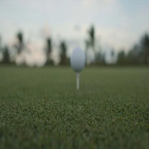 Golf ball standing on a tee before impact Stock Footage 69330056