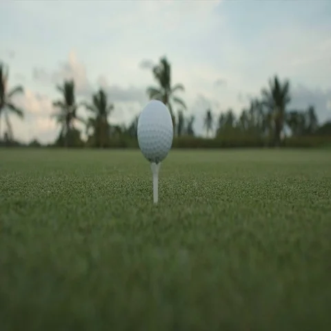 Golf ball standing on a tee before impact Stock Footage 69330209