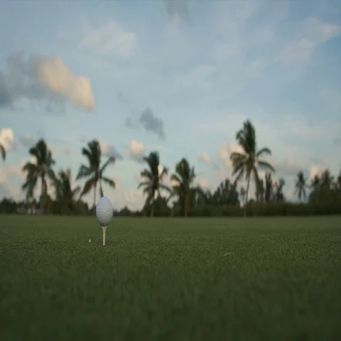 Golf ball standing on a tee before impact Stock Footage 69331320