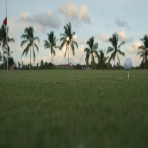 Golf ball standing on a tee before impact Stock Footage 69332694