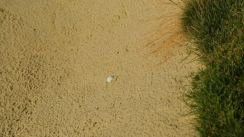 Golf ball stuck in sand dune putting green golfing course B Stock Footage 125331925