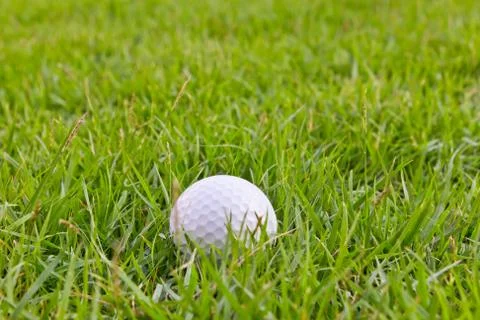 Golf ball on tall grass Stock Photos