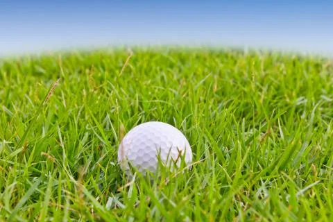 Golf ball on tall grass Stock Photos