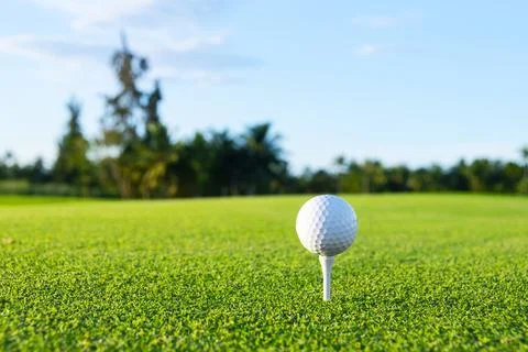 Golf ball on tee on golf course over a blurred green field at the sunset. G.. Fotos Stock