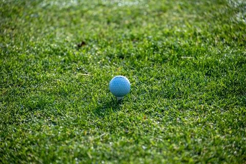 Golf ball on the tee Stock Photos