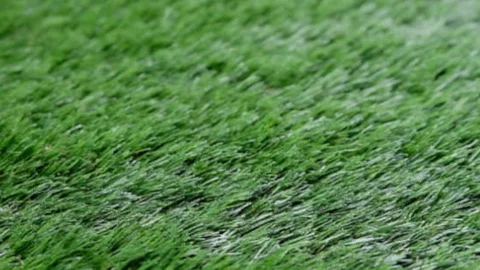 Golf balls on green grass Stock Footage 92817960