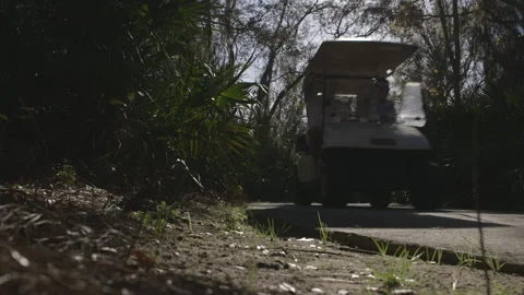 Golf Cart Driving on Pathway Stock Footage 141079996
