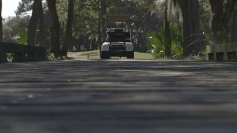 Golf Cart Parked on a Pathway Stock Footage 141079819