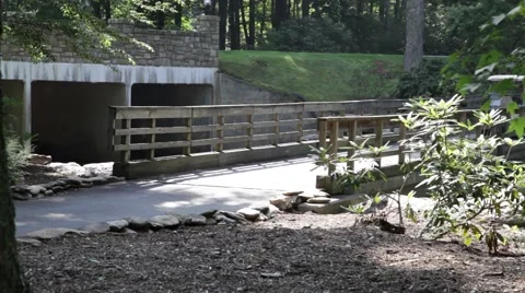 Golf Cart on Path Video stock 51233332