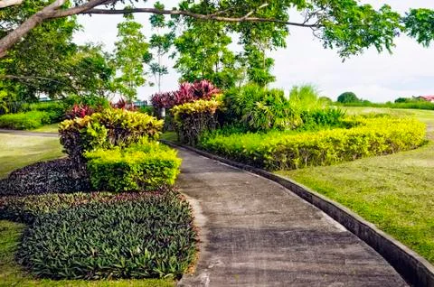 Golf cart path Stock Photos