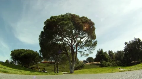 Golf Cart Stop Vídeo Stock 1183648