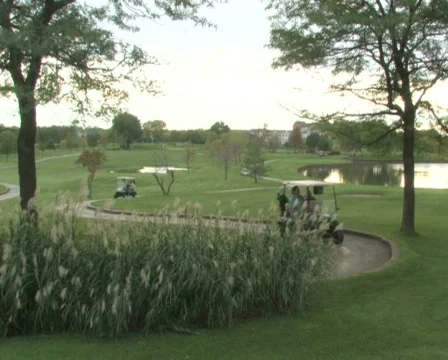 Golf Carts On Course Stock Footage 283285