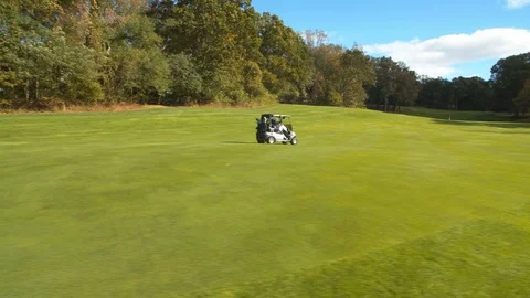 Golf Carts on the Green 2 Stockbeeldmateriaal 127054389