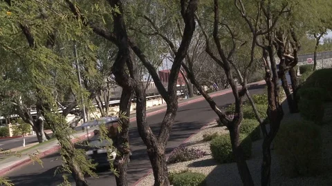 Golf Carts Up Ramp Video stock 120886986