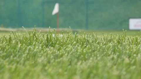 Golf chip and pitch training area Stockbeeldmateriaal 78923806