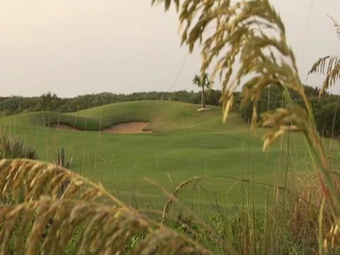 Golf Course 1 Stock Footage 8693194