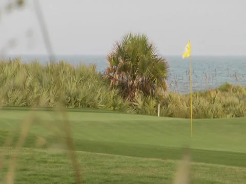 Golf Course 2 Stock Footage 8693644